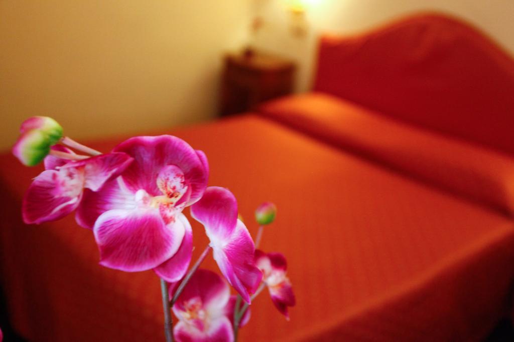 Casa De Fiori Apartments ローマ 部屋 写真